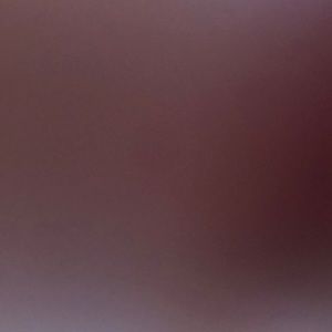 Meet your Posher, Damaris